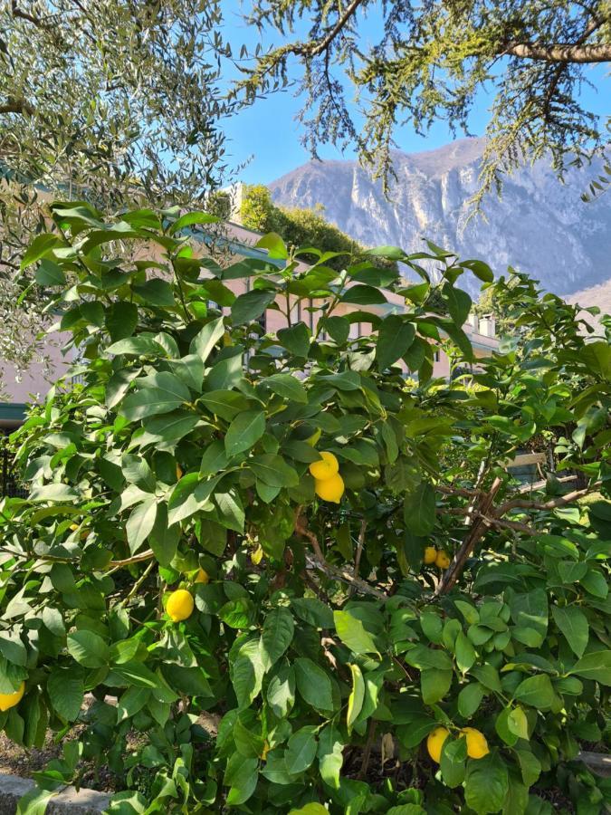 Le Peonie Riva del Garda Exterior foto