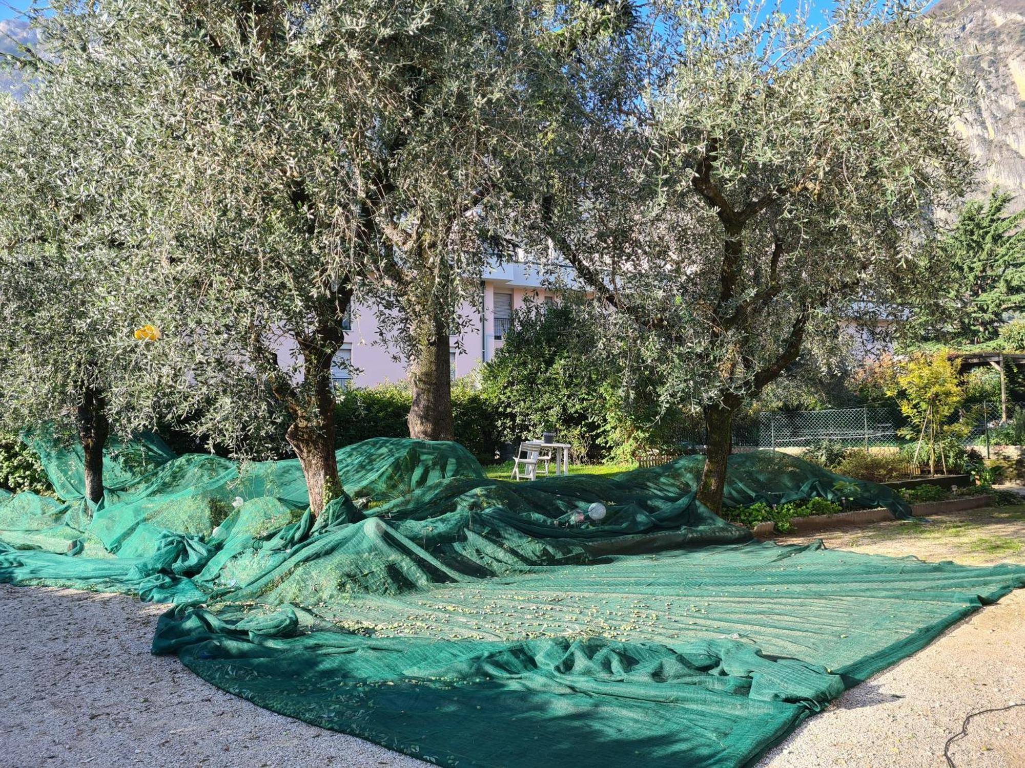 Le Peonie Riva del Garda Exterior foto